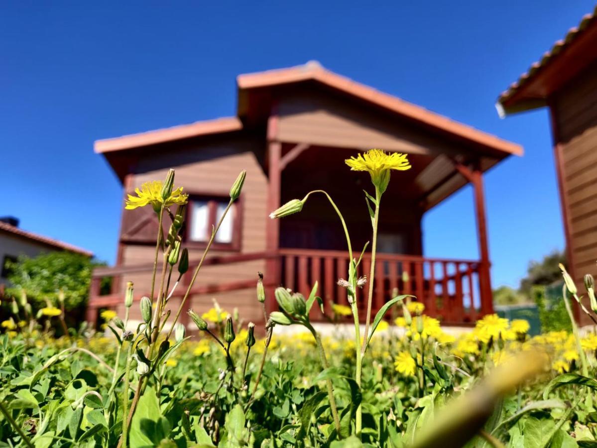 Camping Bungalow Serra De Prades Resort Vilanova de Prades Exterior photo